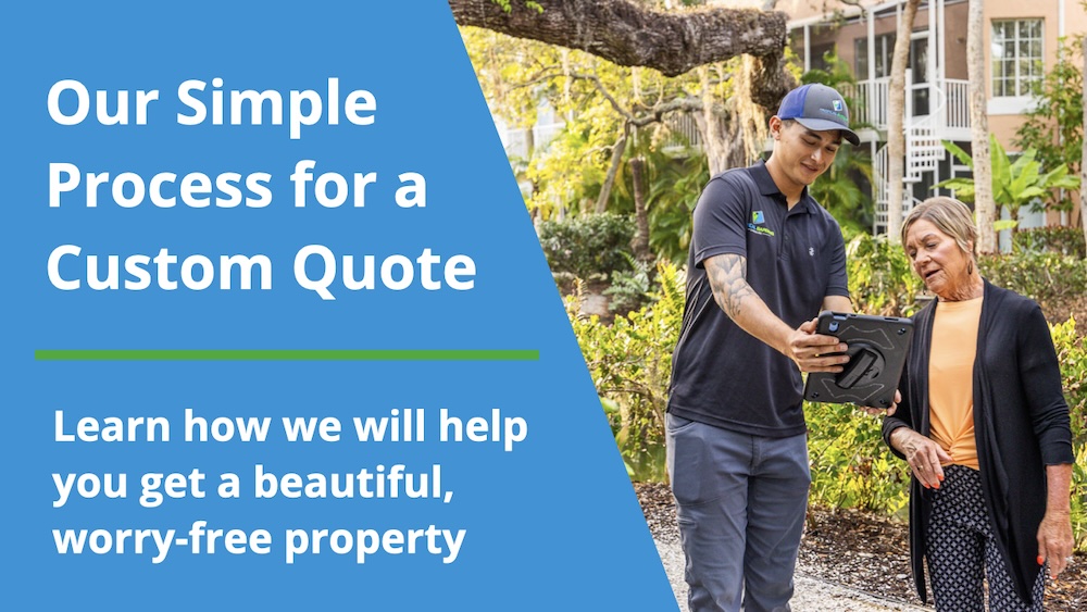 Our simple process for a custom quote, with a professional discussing a project with a homeowner